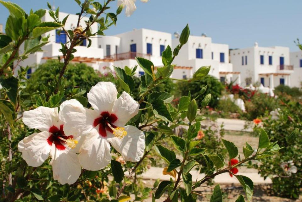 Niriedes Villas Lipsi 외부 사진